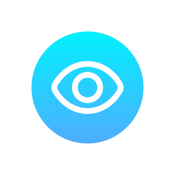 Vision Icon